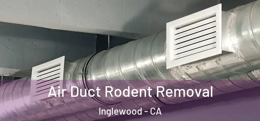 Air Duct Rodent Removal Inglewood - CA