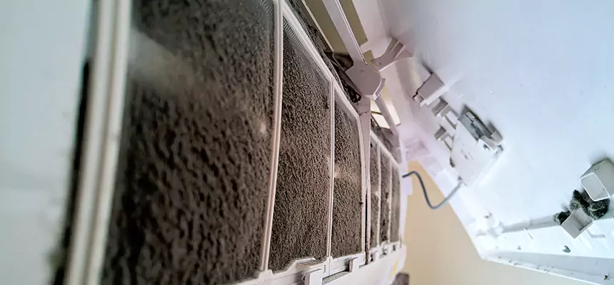 Preventive Air Duct Bacteria Removal in Inglewood