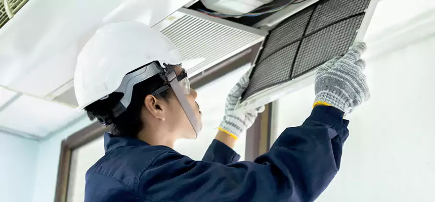 Our Mold & Mildew Removal from Air Ducts Services in Inglewood, CA