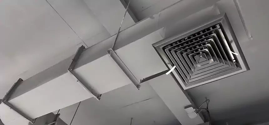 Our Pest Removal From Ducts Services in Inglewood, CA