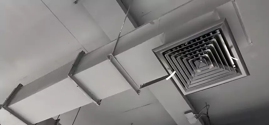 Our Rodent Droppings In Vents Services in Inglewood, CA