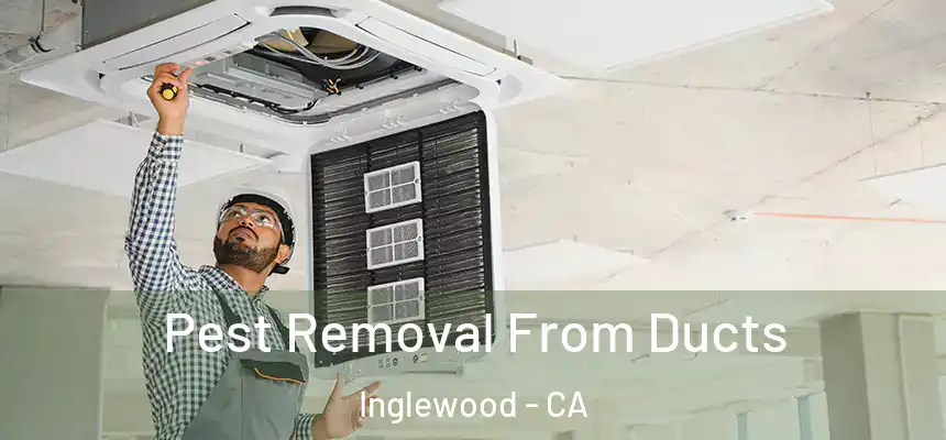 Pest Removal From Ducts Inglewood - CA