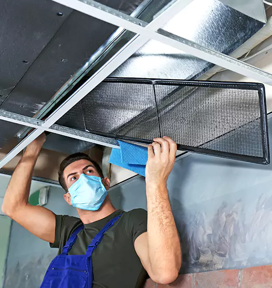 About Air Duct Bacteria Removal in Inglewood