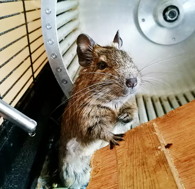 Why Homeowners & Businesses Trust Us Inglewood, CA?