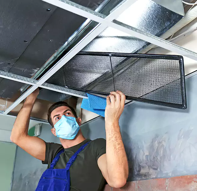 Why Homeowners Businesses Trust Us in Inglewood, CA